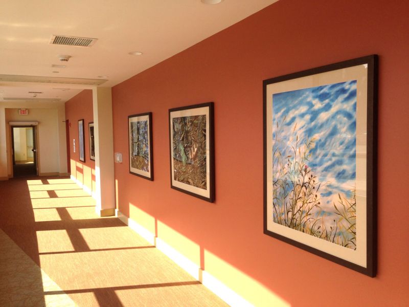 Natural Distractions - Custom Prints for Lobby of Northampton Square, Boston